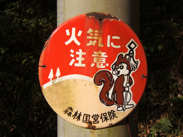 森林国営保険のリス。