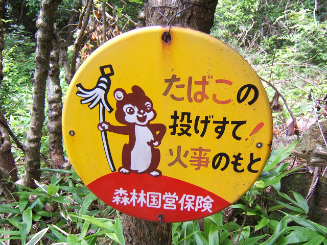 森林国営保険のリスその2。