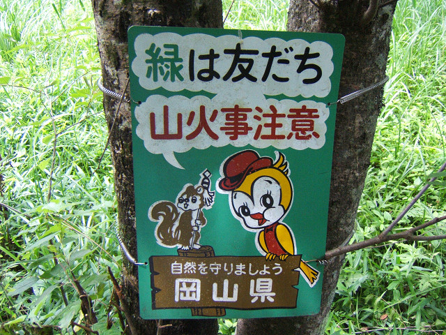 森林国営保険のリスと鳥。